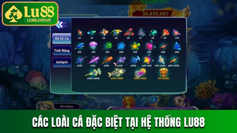 Các loài cá đặc biệt tại hệ thống LU88