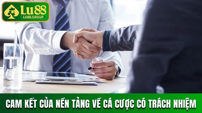 Cam kết của nền tảng về cá cược có trách nhiệm