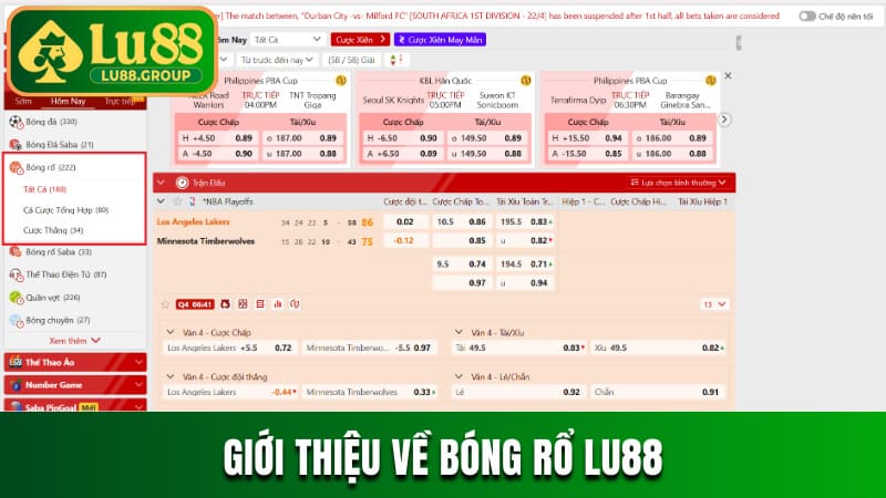Giới thiệu về bóng rổ LU88